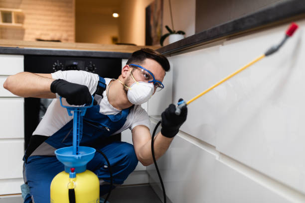 Best Cockroach Control Services  in East Camden, AR