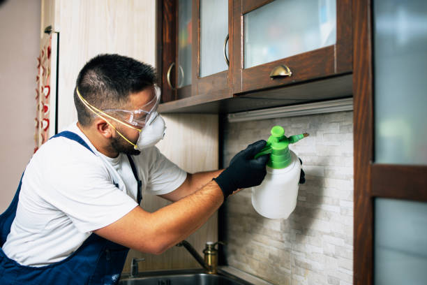 Best Termite Control Services  in East Camden, AR