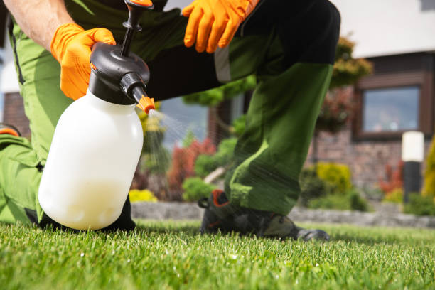 Best Pest Control Near Me in East Camden, AR