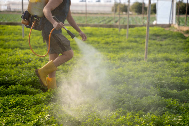 Best Pest Control Near Me  in East Camden, AR