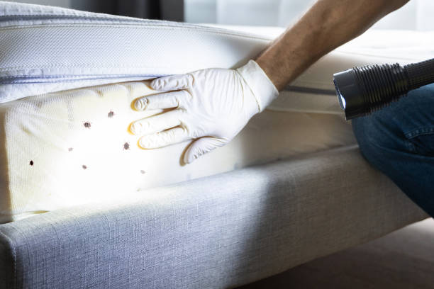 Best Pest Control for Businesses  in East Camden, AR