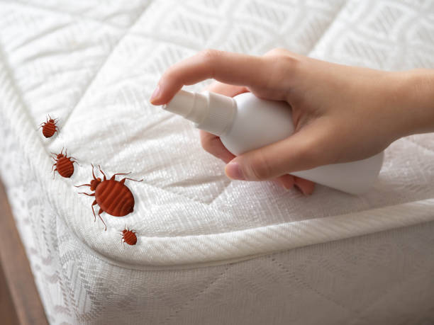 Best Best Pest Control Companies  in East Camden, AR