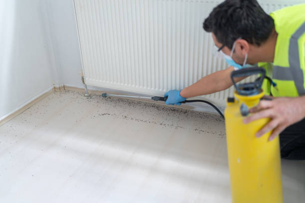 Best Affordable Pest Control Services  in East Camden, AR