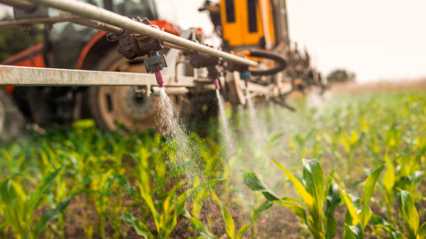 Best Ant Control Services  in East Camden, AR